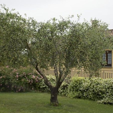 Agriturismo Scuderie Della Contea Sutri Exterior photo