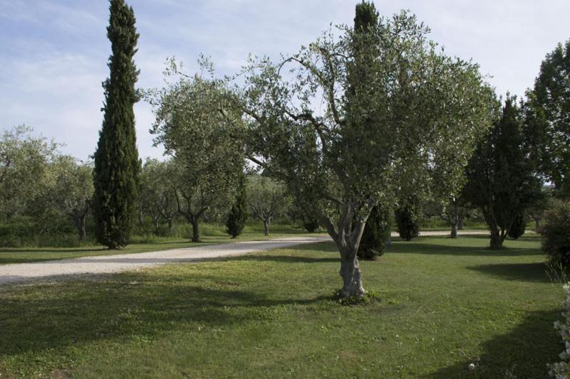 Agriturismo Scuderie Della Contea Sutri Exterior photo