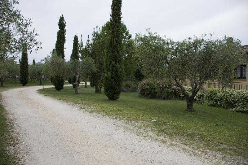 Agriturismo Scuderie Della Contea Sutri Exterior photo
