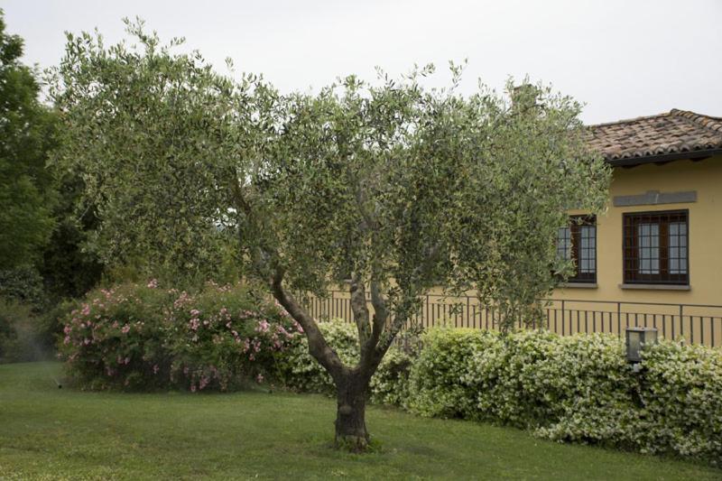 Agriturismo Scuderie Della Contea Sutri Exterior photo
